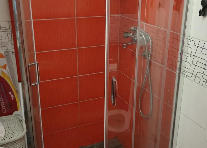 펜션 Tana Raca (Zlatibor)