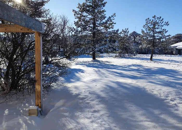 Tana Raca (Zlatibor)